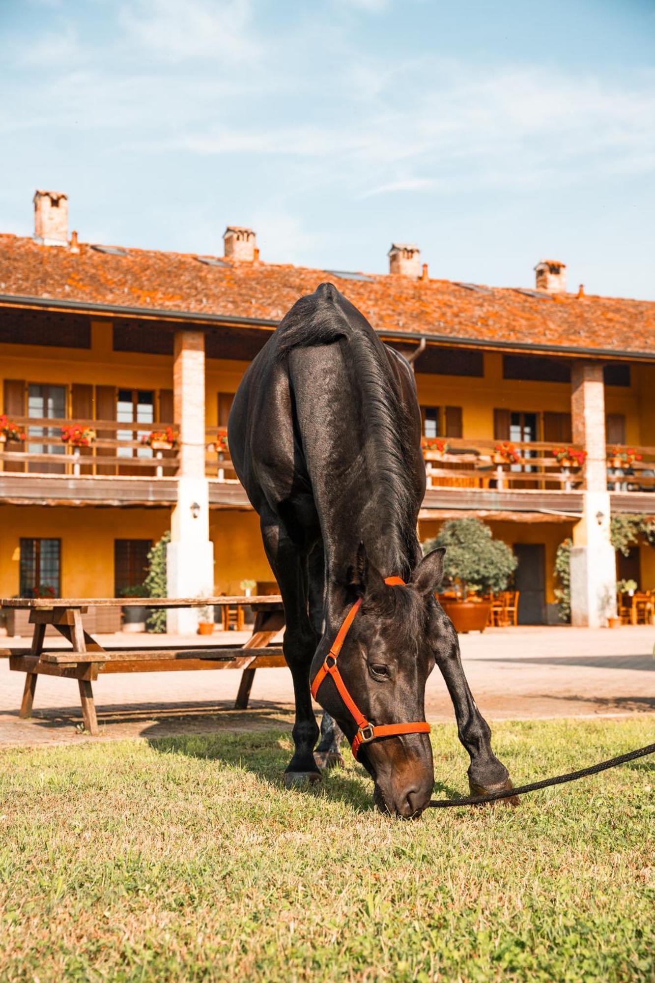 Vila Agriturismo Bassanella Treviglio Exteriér fotografie